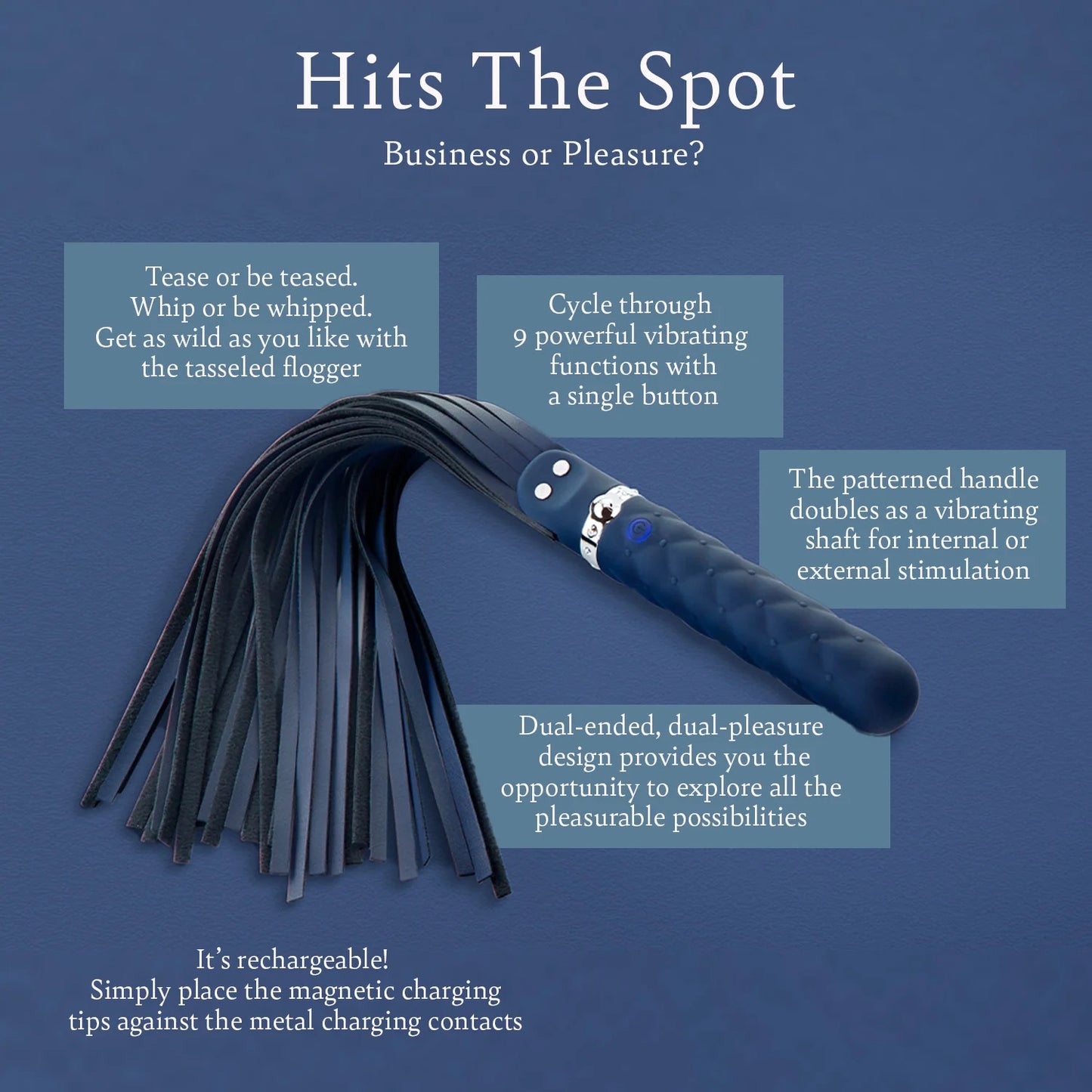 Hits The Spot - Vegan Leather Whip & Vibrator